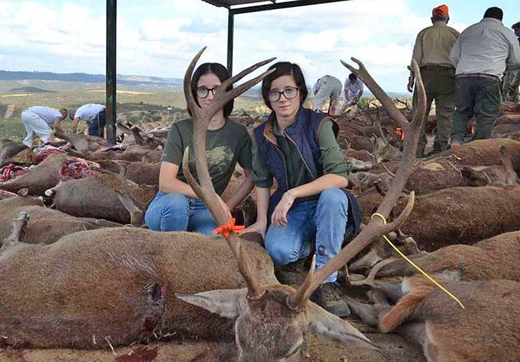 Chaqueta Caza Blaser