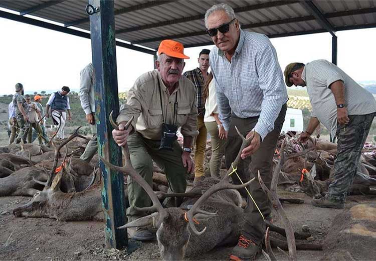 Chaqueta Caza Blaser