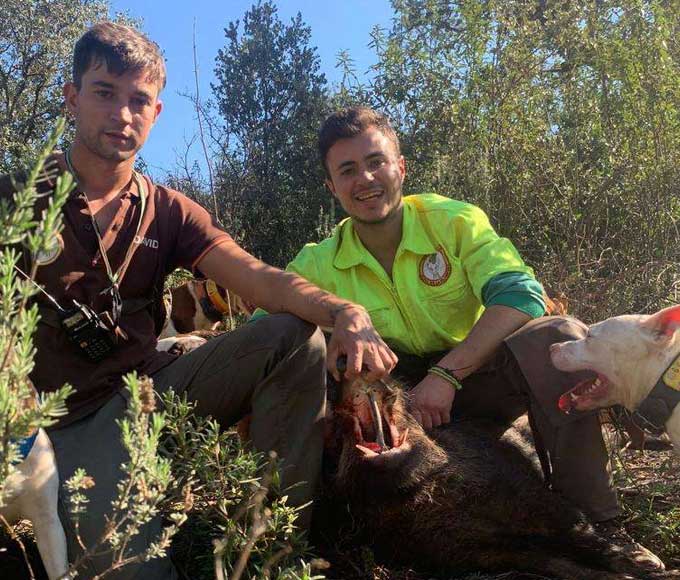 Chaqueta Caza Blaser