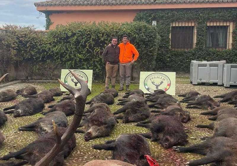 Resultado Montería Valmorisco 2024 Pelillo S C