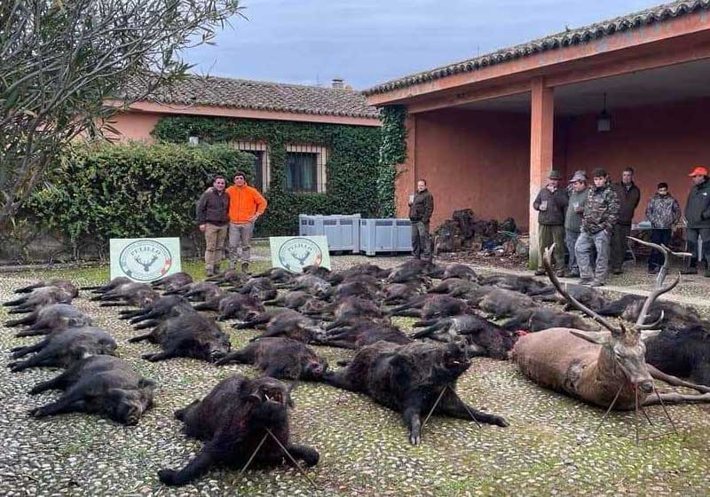 Chaqueta Caza Blaser