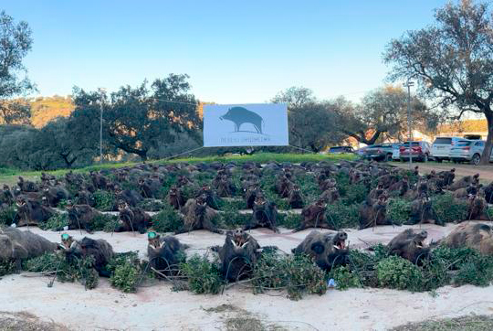 Chaqueta Caza Blaser