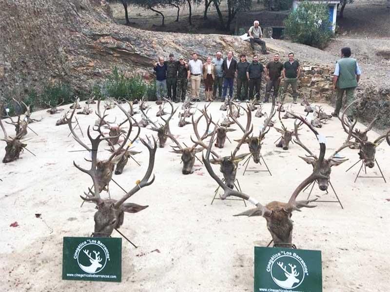 Resultado Montería La Torrecilla Aguasfrías 2021 Cinegética Los Barrancos