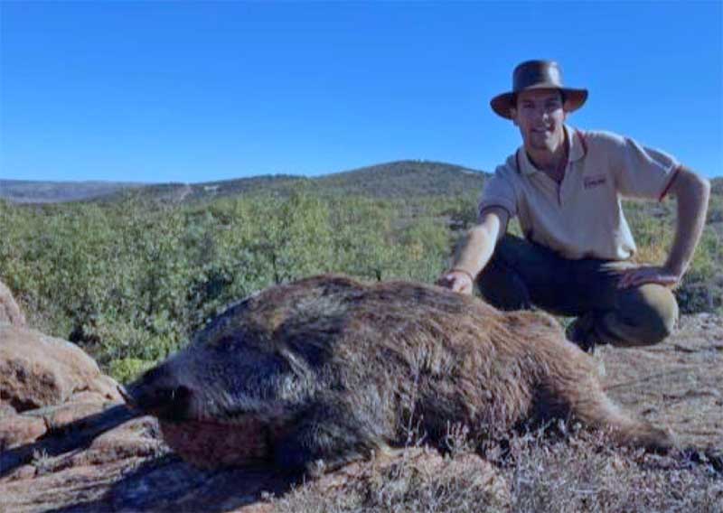 Resultado Montería Albendiego 2021 Segontia