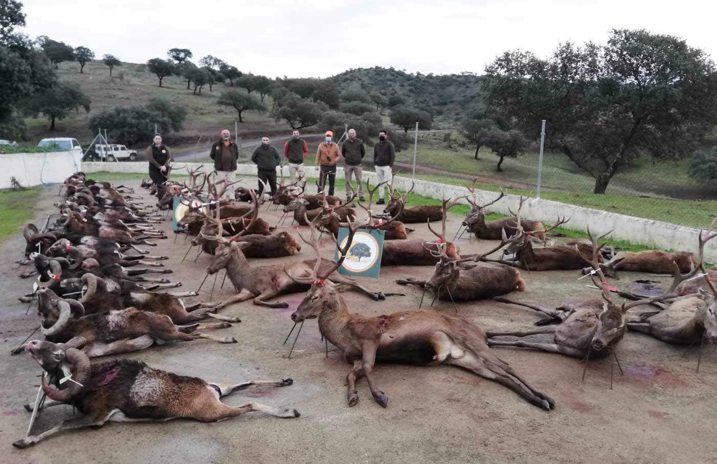 Arroyo Molino Bajo 2020 09