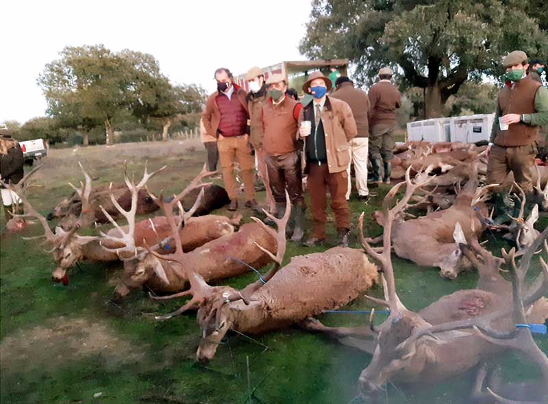 Resultado Montería Bordalo 2020 Puebla y Estellez