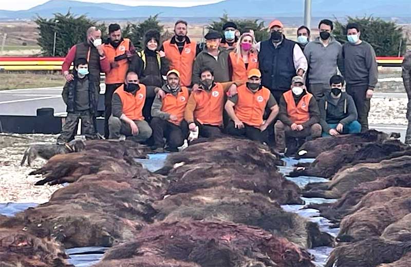 Cedillo de la Torre 2001