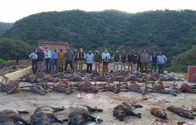 CerrejonAlcarria2001