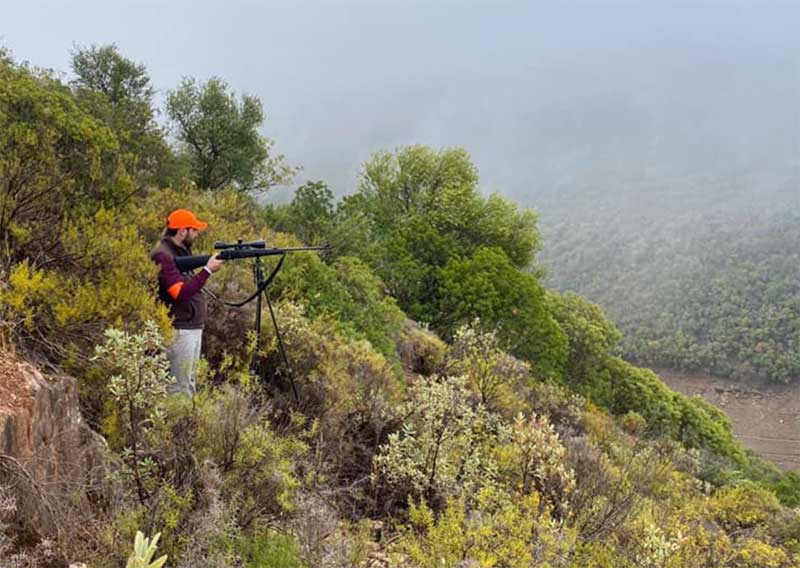 CerrejonAlcarria2002