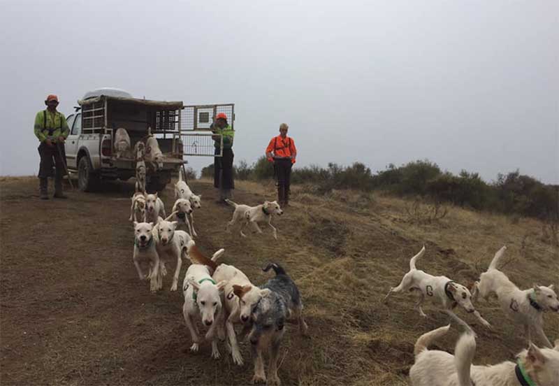 Cerrejosalcarria2004