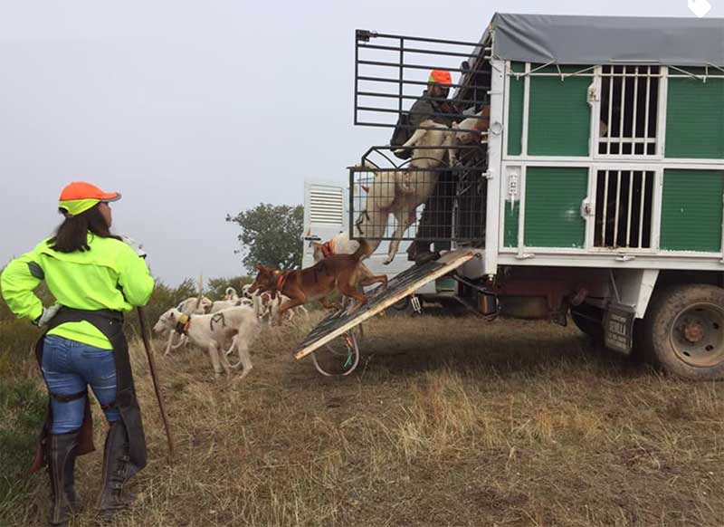 Cerrejosalcarria2006