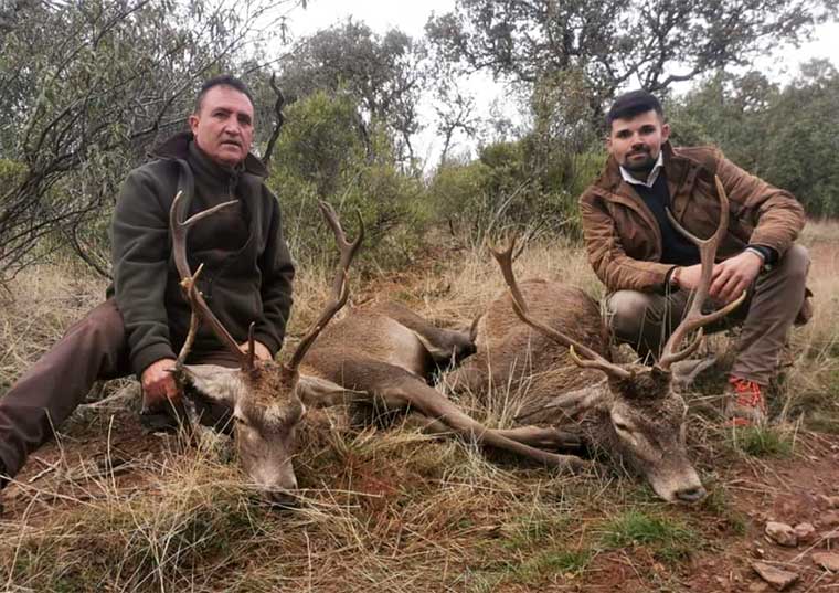 CabezaRedonda201908