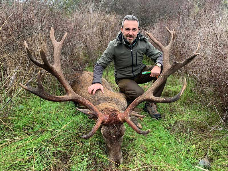 Resultado Montería Puerto del Toro 2020 Cinegética Montresur