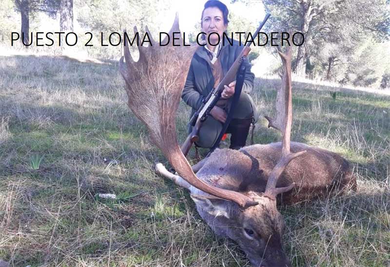 Contadero Selladores 202002