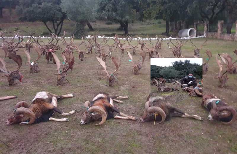 Contadero Selladores 202004