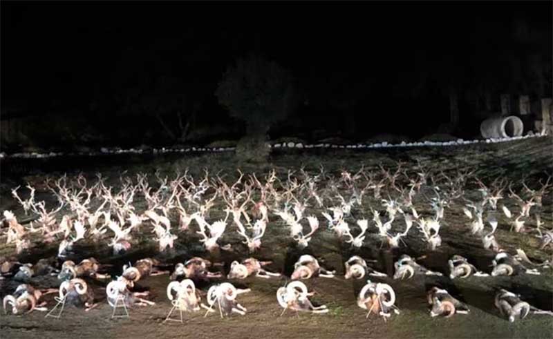 Contadero Selladores 202006