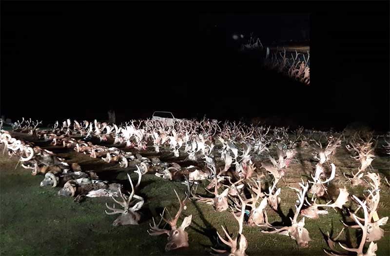 Contadero Selladores 202008