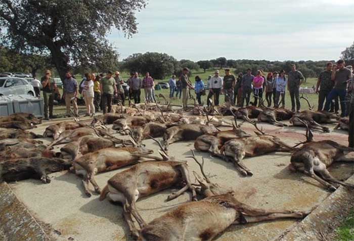 Los Herreros 2021 01