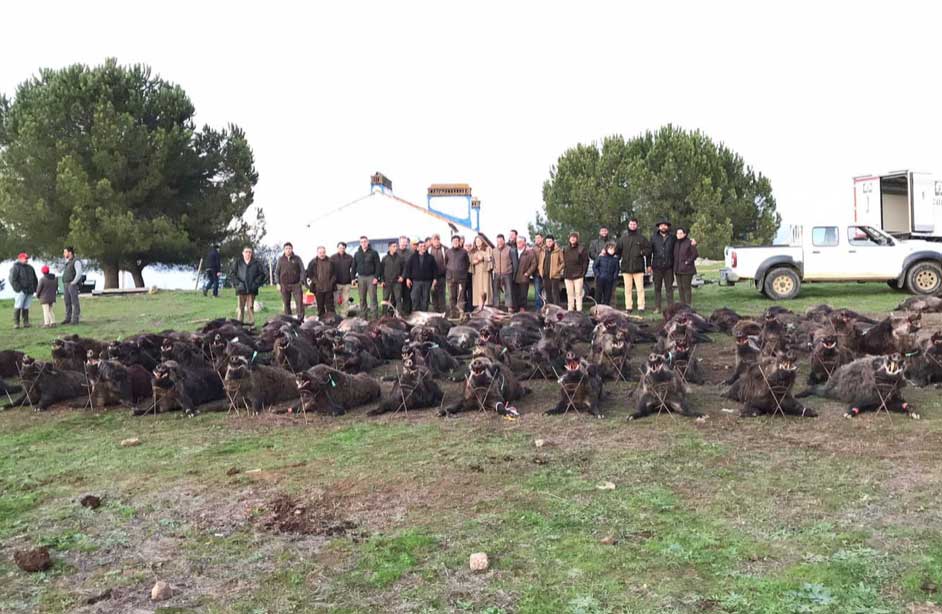 Eira Quemada 2021 00