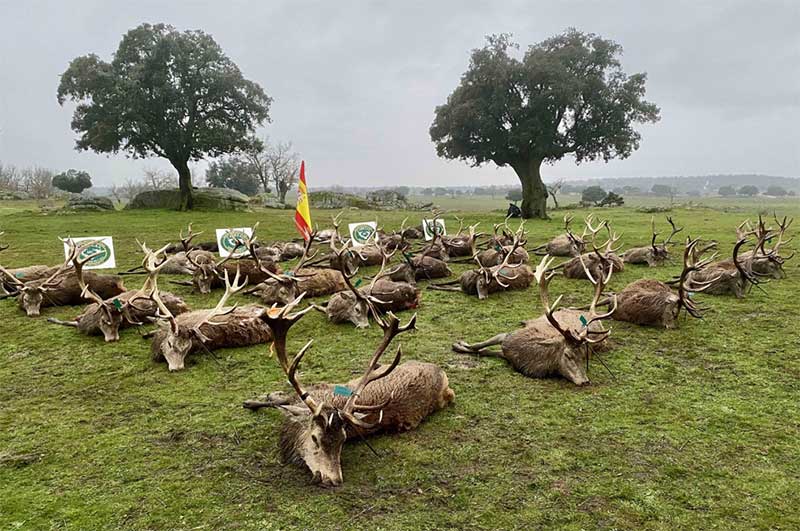 Dehesa del Cadozo 202101