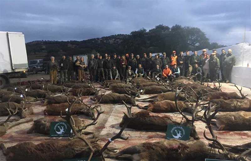 Navalentisco 2021 01