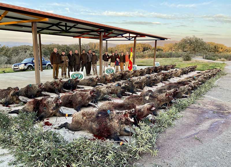 Los Herreros 2021 01