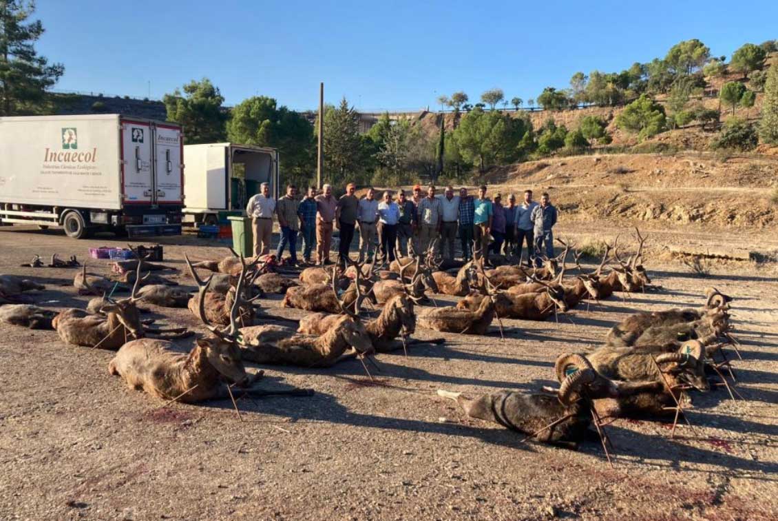 Resultado Montería El Candil 2021 Isaías Espinosa