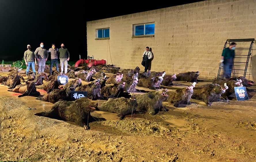 Resultado Montería El Chaparrito 2021 Monterías Riquelme