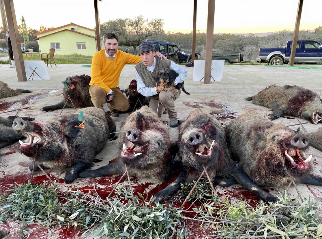 Resultado Montería El Cotano 2021 Cabezas S Caza