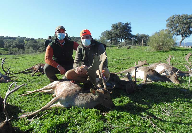 Resultado Montería El Guijo 2020 Rincón Cinegético