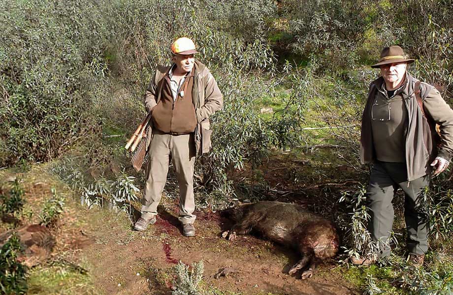 Resultado Montería El Puente 2020 Cinegética Alcántara