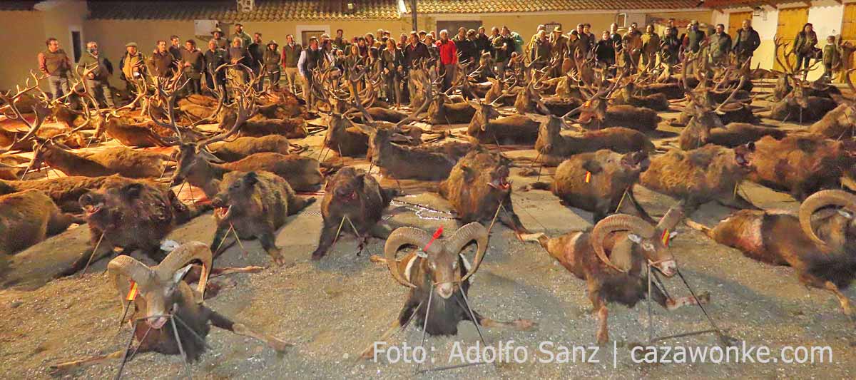 EncinardeSanMartin201901