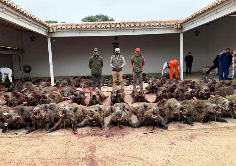 Encomienda del Mochuelo 2001