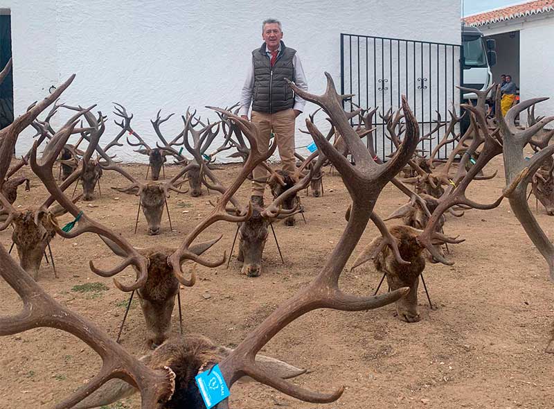 Encomienda del Mochuelo 2000