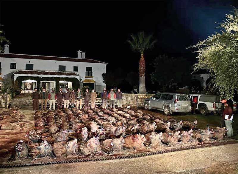 Resultado Montería Fuente la Virgen 2020 Cinegética Cordobesa