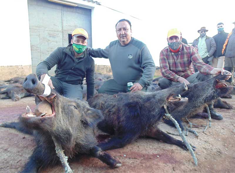 Resultado Montería Horrigueros 2020 Rincón Cinegético