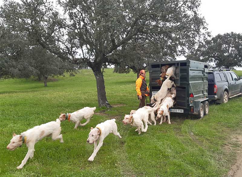 Resultado Montería La Liebre 2021 Puebla y Estellez