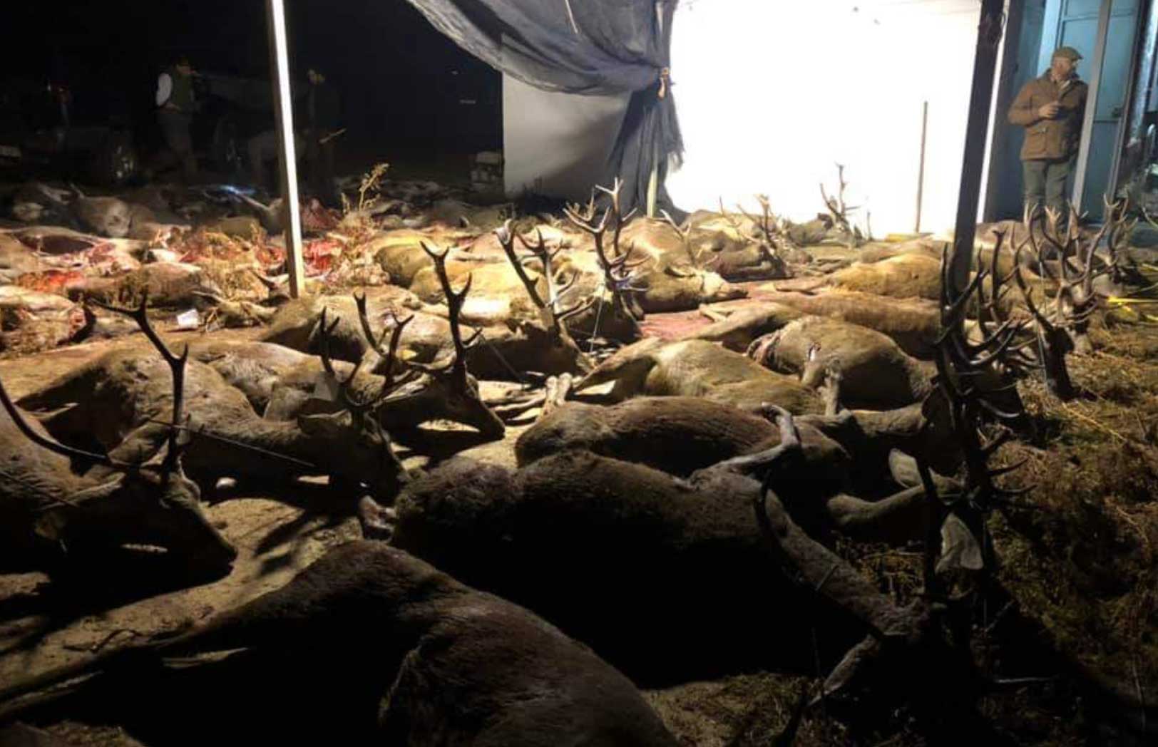 Resultado Montería La Utrera 2021 Ruizcaza