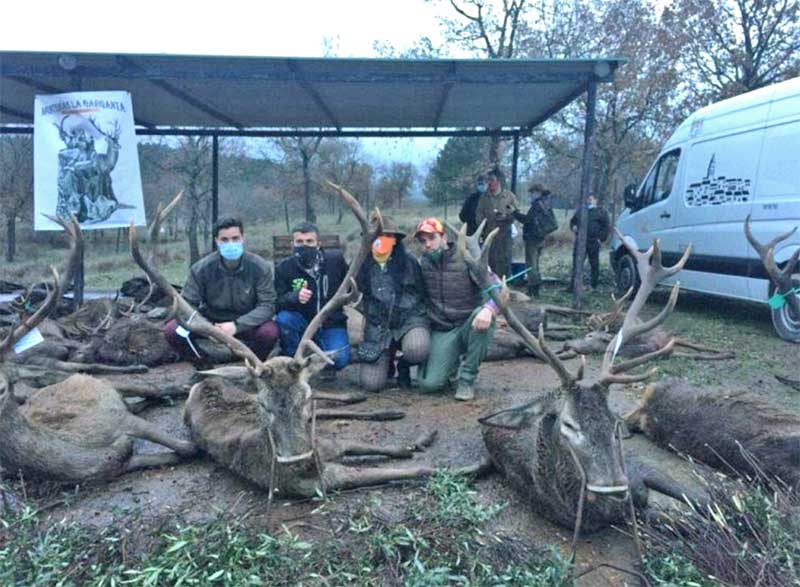 Resultado Montería Solana de Rueda 2020 Monterías La Garganta