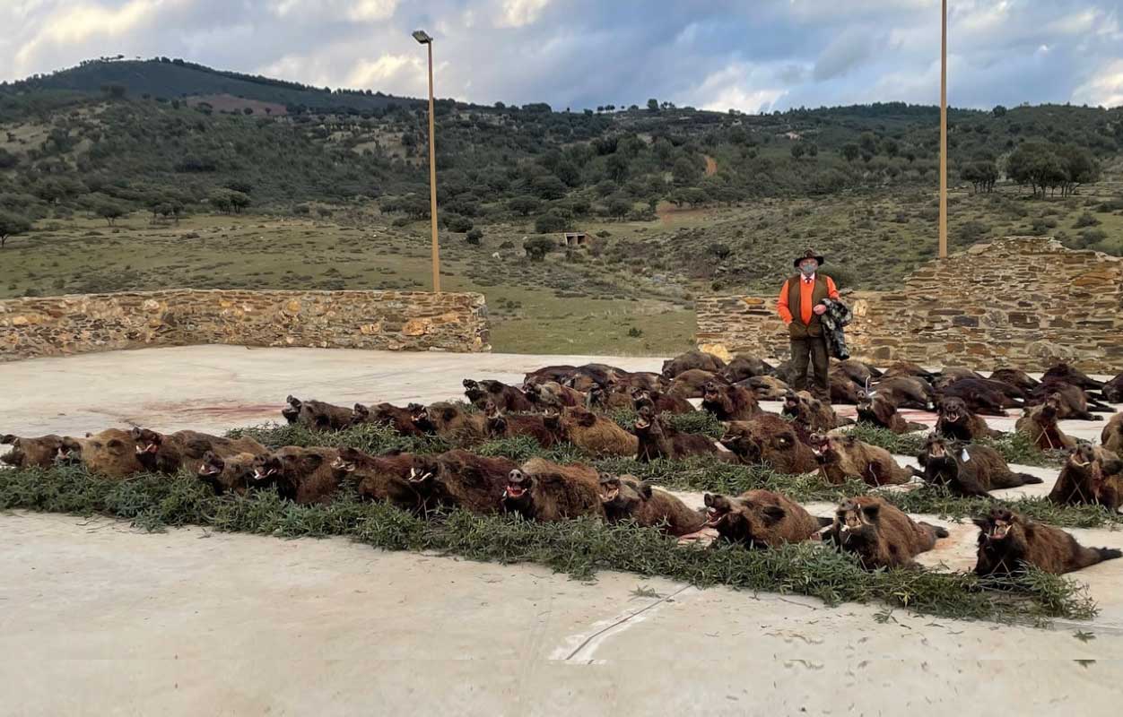 Resultado Montería La Parrilla 2020 Gescaza