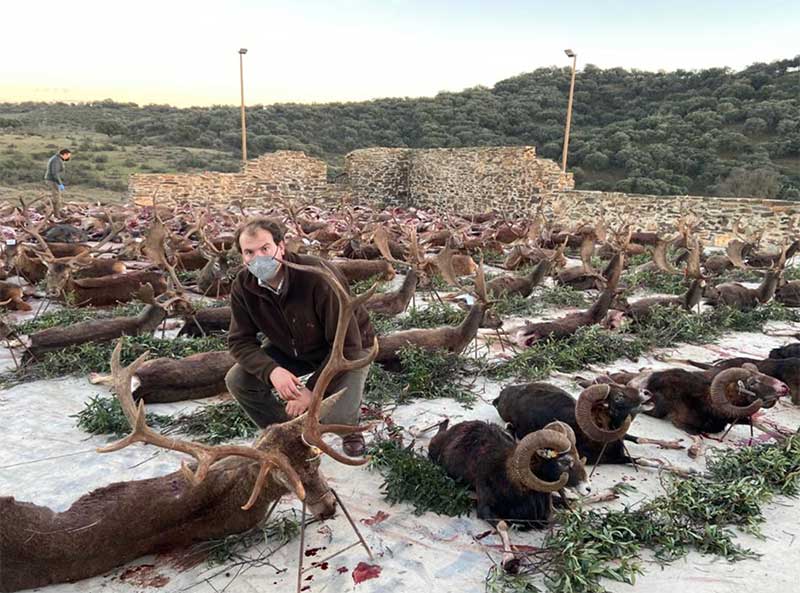 Resultado Montería La Parrilla 2 2020 Gescaza