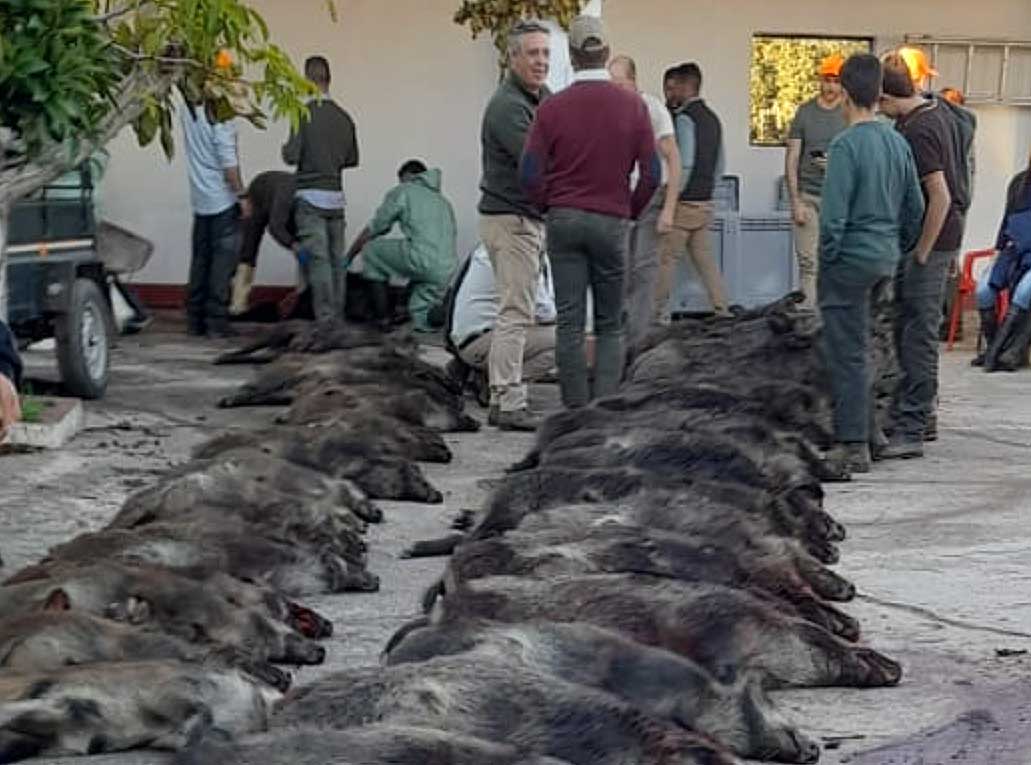 Las Alcanizas 2021 04