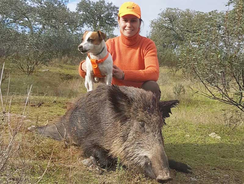 Resultado Montería Las Mohedas 2020 Cinegética Alcántara