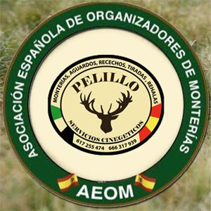 LogoPelillo