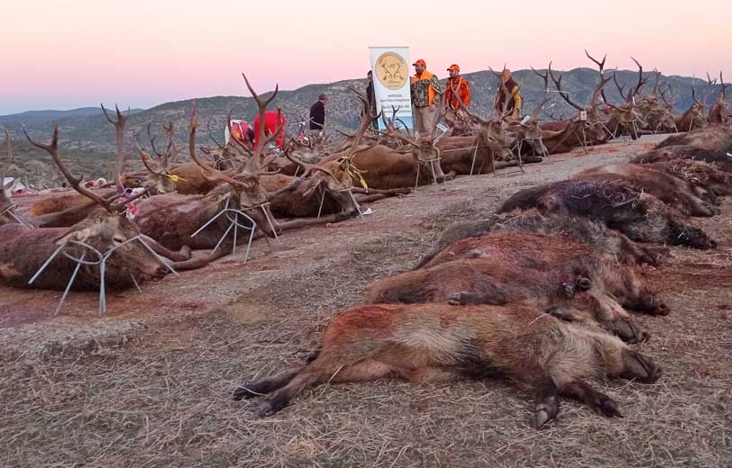 Los Almendros 2021 02