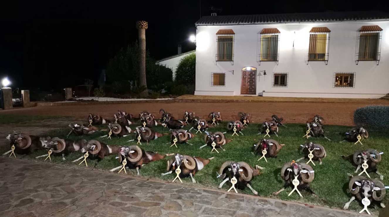La Caracola 2021 01