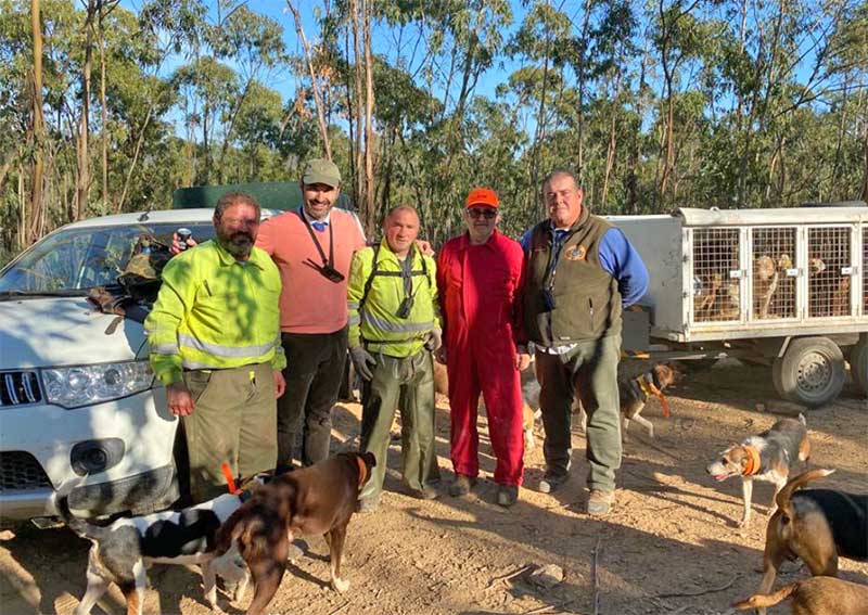 Resultado Montería Los Herreros noviembre 2021 Cabezas S Caza 