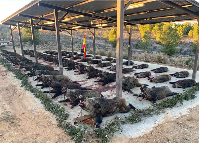 Los Herreros 2021 01