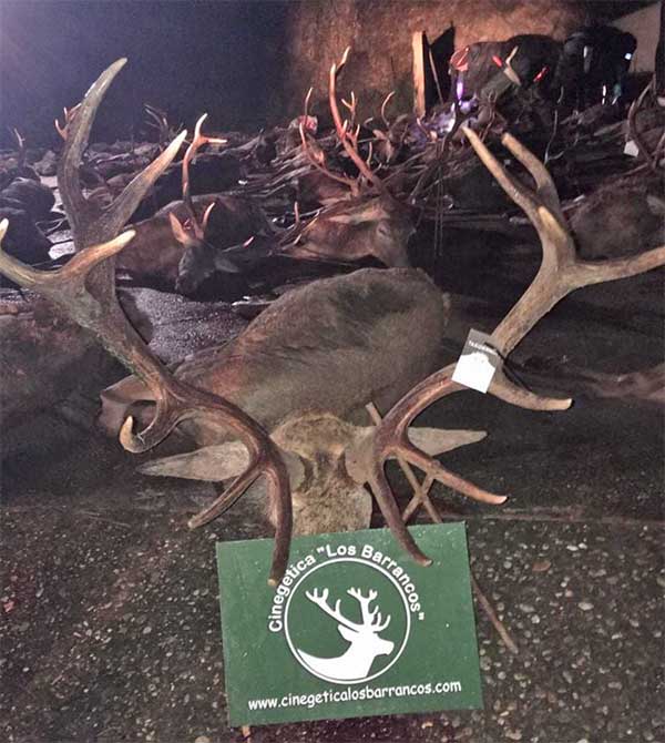 Los Valles Barrancos 2009