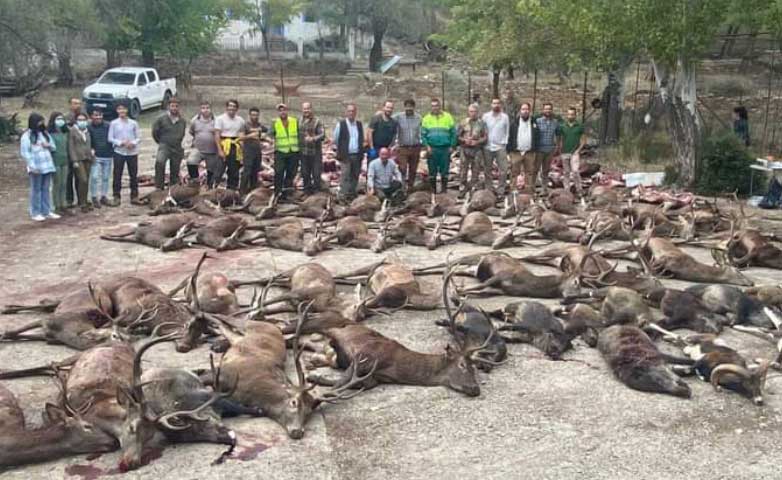 Los Valles Monteros de Siempre 2021 05